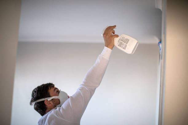 Reliable Bogalusa, LA Mold Removal Solutions