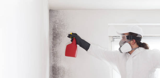 Water Damage Restoration in Bogalusa, LA